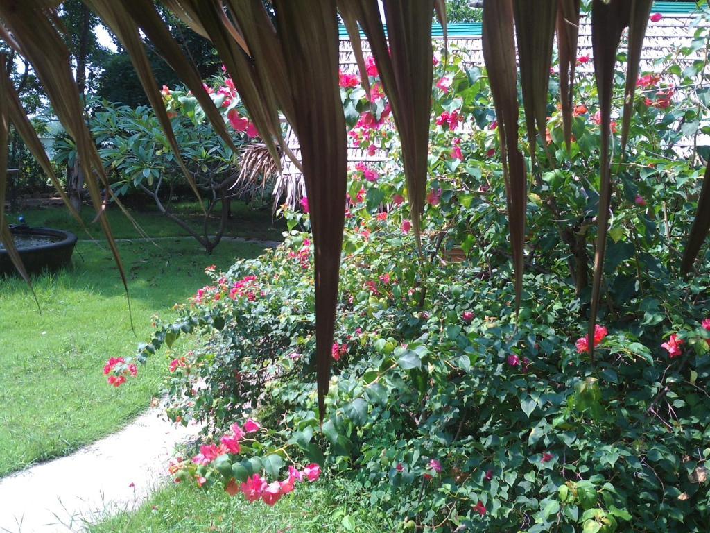 Ban Sabai Sabai Guest House Kanchanaburi Luaran gambar